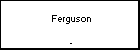  Ferguson