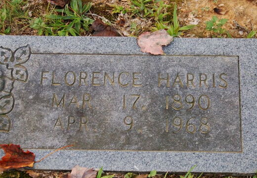 Harris Cemetary 2006 12